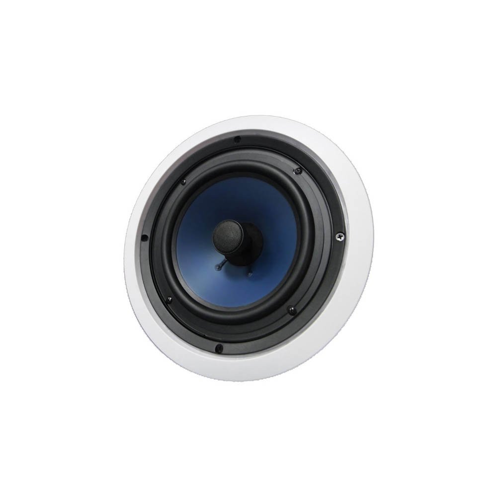 Celling Speaker
